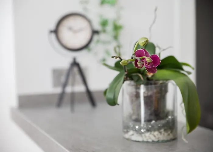 Spacious 200 Sq.m. Penthouse With Sea View Terraces Torremolinos