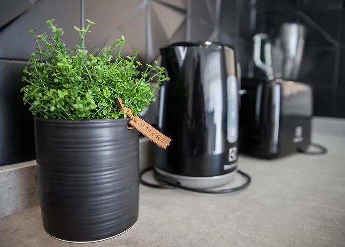 Spacious 200 Sq.m. Penthouse With Sea View Terraces Appartement