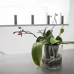 דירה Spacious 200 Sq.m. Penthouse With Sea View Terraces טורמולינוס