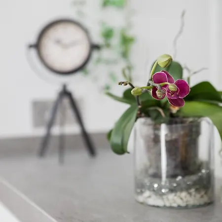 Spacious 200 Sq.m. Penthouse With Sea View Terraces Торремолинос