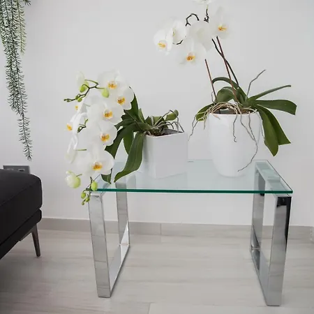 Apartamento Spacious 200 Sq.m. Penthouse With Sea View Terraces